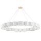Corbett Lighting - 393-50-SWH/VB - 22 Light Chandelier - Opal - Soft White