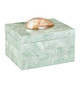 Currey and Company - 1200-1025 - Box - Fiona - Natural