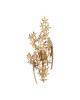 Currey and Company - 5000-0282 - One Light Wall Sconce - Aviary - Swedish Gold