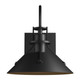 manufacturer_finish:Coastal Black|light_source:Unspecified