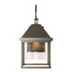manufacturer_finish:Coastal Dark Smoke|manufacturer_glass:Seeded Clear Glass (II)