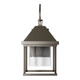 manufacturer_finish:Coastal Dark Smoke|manufacturer_glass:Seeded Clear Glass (II)