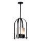 manufacturer_finish:Coastal Black|manufacturer_glass:Opal Glass (GG)