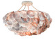 Seahouse Six Light Chandelier (9000-0755)