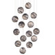 Currey and Company - 9000-1008 - 15 Light Pendant - Palatino - Earth with Speckles/Silver