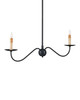 Saxon Two Light Chandelier (9000-1126)