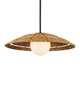 Currey and Company - 9500-0017 - One Light Pendant - Barbary - Natural/Black/Frosted White