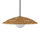 Barbary One Light Pendant (9500-0017)