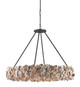 Currey and Company - 9672 - Eight Light Chandelier - Oyster Shell - Natural/Textured Bronze
