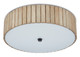 Tetterby One Light Semi-Flush Mount (9999-0058)