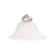 Capital Lighting - G224 - 9`` Alabaster Glass - Glass - White Faux Alabaster