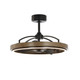 Maxim - 63001DWBK - LED Fandelight - Teton - Driftwood / Black