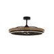 Maxim - 63002DWBK - LED Fandelight - Teton - Driftwood / Black