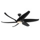 manufacturer_finish:Matte Black