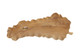Dugan Centerpiece (5576)