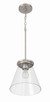 Connell One Light Pendant (60492-BNK)