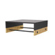 Lyle Cocktail Table (FCI03)