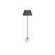 Arteriors - PFI05 - Floor Lamp - Xena - Burnt Iron Iron