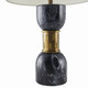 Dalton One Light Table Lamp (PTI15-229)