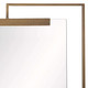 Princeton Mirror (WMI03)