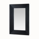 Coulter Mirror (WMI39)