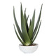 Uttermost - 60177 - Planter - Evarado - Glossy White