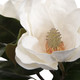 Middleton Centerpiece (60186)