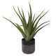 Tucson Planter (60204)