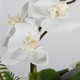 Transcend Centerpiece (60207)