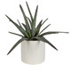Taos Centerpiece (60210)
