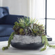 Yuma Centerpiece (60214)