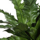 Verdure Fern Glazed Pot (60229)