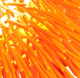 Urchin One Light Mini Pendant (169M01OR)