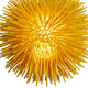 Urchin One Light Mini Pendant (169M01YE)