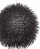 Urchin One Light Pendant (169P01BL)
