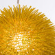 Urchin One Light Pendant (169P01YE)