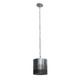 Cannery One Light Mini Pendant (323M01OG)
