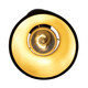 Mad Hatter One Light Mini Pendant (390M01MBFG)