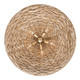 Hilton Head Five Light Pendant (502P05FGN)
