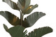 Banana Leaf Nine Light Chandelier (901C09)