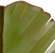 Banana Leaf Two Light Wall Sconce (901K02)
