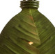 Banana Leaf One Light Mini Pendant (901M01)