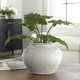 Floreana Vase (18103)