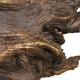 Gilded Branch Sculpture (18221)