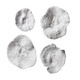 Uttermost - 20170 - Wall Art - Sea Coral - Antique White