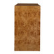Indus Chest (24381)