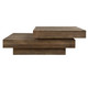 Rustic Planes Coffee Table (24400)