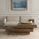 Rustic Planes Coffee Table (24400)