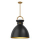 manufacturer_finish:Aged Gold/Matte Black