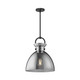 manufacturer_finish:Matte Black/Smoked|manufacturer_glass:Smoked Glass